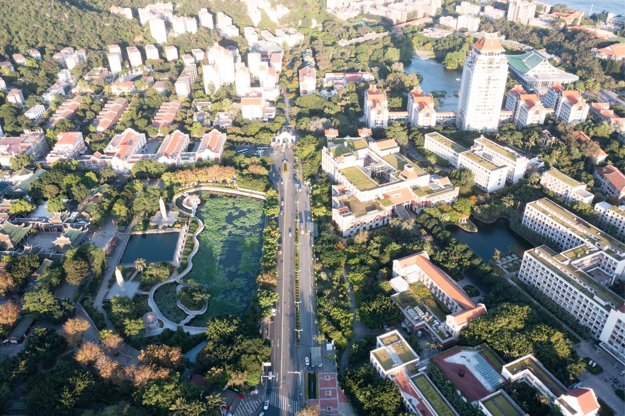 Socionaut: un socio estratégico para potenciar el desarrollo sostenible de las empresas de México